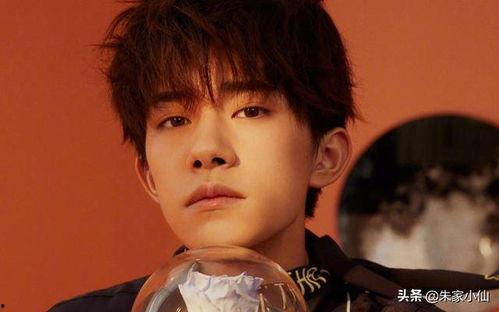 娱乐吃瓜君杨洋,娱乐吃瓜界的风云人物