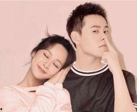 圈内人爆料杨紫肖战最新,神秘新剧引期待  第3张